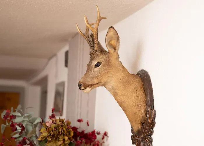 Valsora Будинок відпочинку Зельден